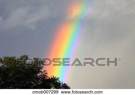 Rainbow over tree, Hokkaido View Large Photo Image Stock Photo - Rainbow over tree, Hokkaido. Fotosearch