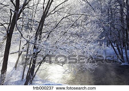 Stock Photo - Rime at Kushiro river, Hokkaido. Fotosearch