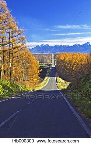 Road to Daisetsuzan volcanic group, Hokkaido View Large Photo Image Stock Image - Road to Daisetsuzan volcanic group, Hokkaido. Fotosearch