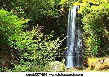 Ryugin waterfall, Gifu Prefecture View Large Photo Image Picture - Ryugin waterfall, Gifu Prefecture. Fotosearch