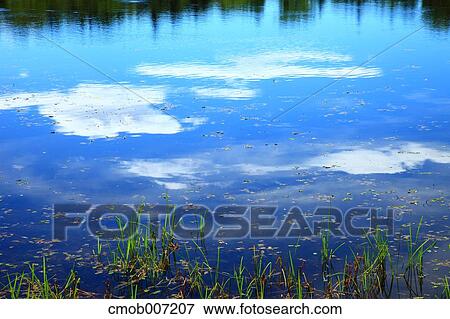 Shiretoko five lakes, Hokkaido View Large Photo Image Stock Photo - Shiretoko five lakes, Hokkaido. Fotosearch