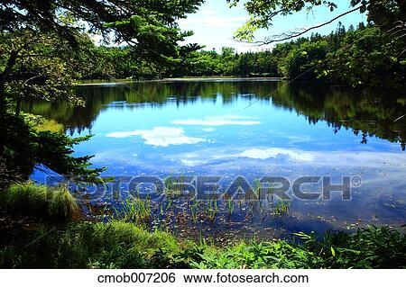 Shiretoko five lakes, Hokkaido View Large Photo Image Stock Photograph - Shiretoko five lakes, Hokkaido. Fotosearch
