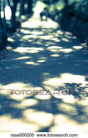 Sidewalk in Shinjuku, Tokyo View Large Photo Image Stock Photography - Sidewalk in Shinjuku, Tokyo. Fotosearch