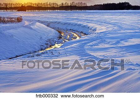 Snow field at sunset, Hokkaido View Large Photo Image Stock Image - Snow field at sunset, Hokkaido. Fotosearch