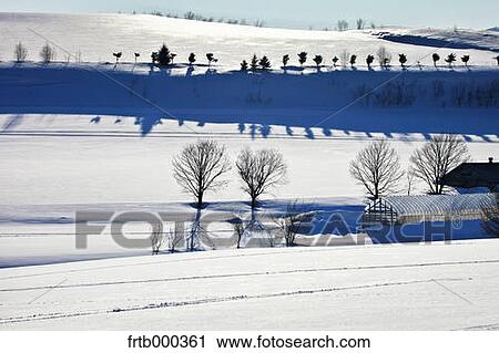 Stock Image - Snow field in Kamifurano, Hokkaido. Fotosearch