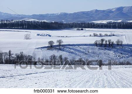 Stock Image - Snow in Biei countryside, Hokkaido. Fotosearch
