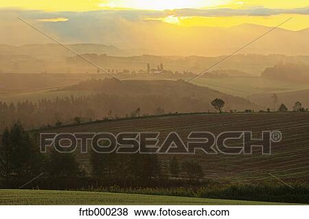 Sunrise at Biei countryside, Hokkaido View Large Photo Image Stock Photo - Sunrise at Biei countryside, Hokkaido. Fotosearch