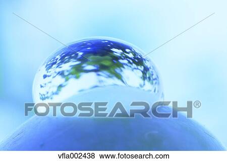 Water droplet on green pea View Large Photo Image Stock Photo - Water droplet on green pea. Fotosearch