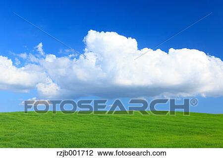 Wheat field and clouds, Hokkaido View Large Photo Image Stock Image - Wheat field and clouds, Hokkaido. Fotosearch