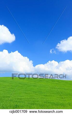 Wheat field and clouds, Hokkaido View Large Photo Image Stock Photo - Wheat field and clouds, Hokkaido. Fotosearch