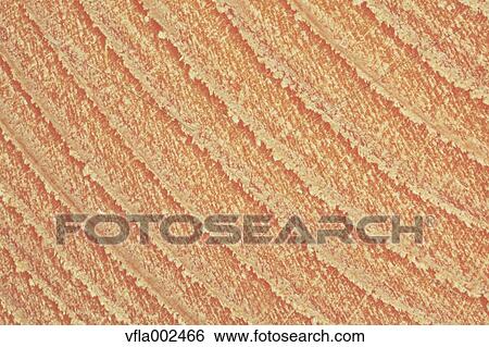 Wood grain View Large Photo Image Stock Photograph - Wood grain. Fotosearch