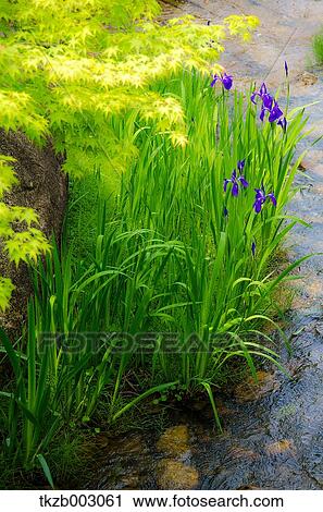 Aichi Expo Memorial Park View Large Photo Image Stock Image - Aichi Expo Memorial Park. Fotosearch