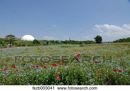Aichi Prefecture, Japan View Large Photo Image Stock Image - Aichi Prefecture, Japan. Fotosearch