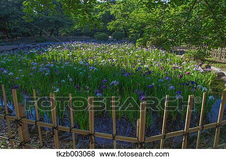 Stock Photo - Aichi Prefecture, Japan. Fotosearch
