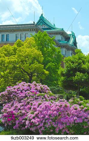 Aichi Prefecture, Japan View Large Photo Image Stock Photo - Aichi Prefecture, Japan. Fotosearch