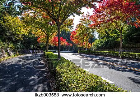 Aichi Prefecture, Japan View Large Photo Image Stock Photo - Aichi Prefecture, Japan. Fotosearch