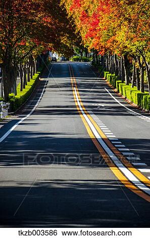 Aichi Prefecture, Japan View Large Photo Image Stock Photograph - Aichi Prefecture, Japan. Fotosearch