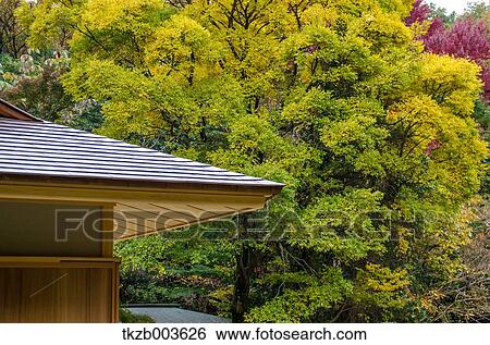 Stock Photograph - Aichi Prefecture, Japan. Fotosearch