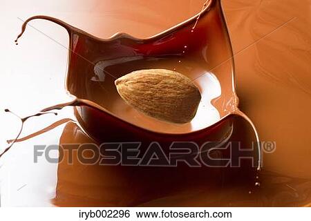 Almond and chocolate View Large Photo Image Stock Photograph - Almond and chocolate. Fotosearch