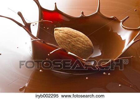 Almond and chocolate View Large Photo Image Stock Photography - Almond and chocolate. Fotosearch