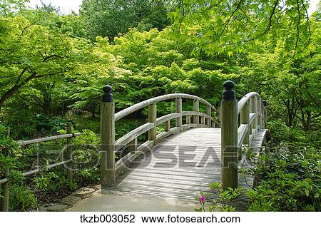 Arched bridge and trees View Large Photo Image Stock Image - Arched bridge and trees. Fotosearch