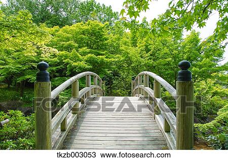Stock Image - Arched bridge and trees. Fotosearch