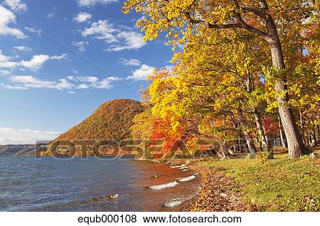 Autumn at lake Toya, Hokkaido View Large Photo Image Stock Photo - Autumn at lake Toya, Hokkaido. Fotosearch