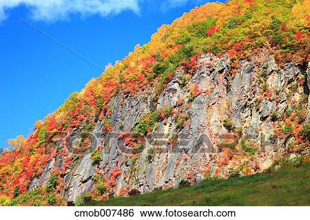 Stock Photograph - Autumn leaves and sky. Fotosearch