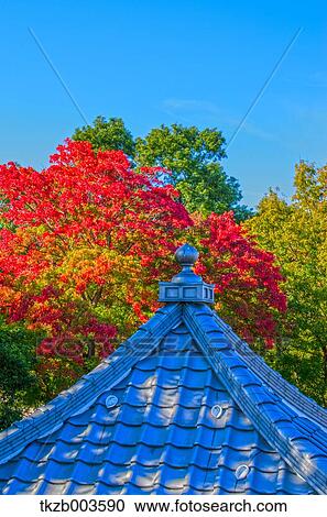 Stock Image - Autumn leaves and tiled roof. Fotosearch