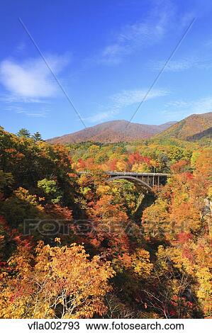 Autumn leaves, Miyagi Prefecture View Large Photo Image Stock Image - Autumn leaves, Miyagi Prefecture. Fotosearch