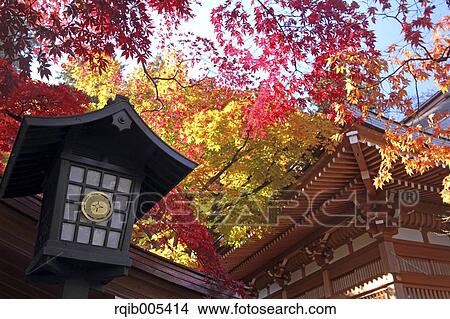 Autumn leaves View Large Photo Image Picture - Autumn leaves. Fotosearch