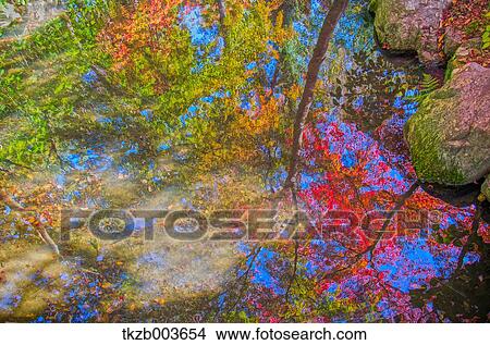 Autumn leaves View Large Photo Image Picture - Autumn leaves. Fotosearch