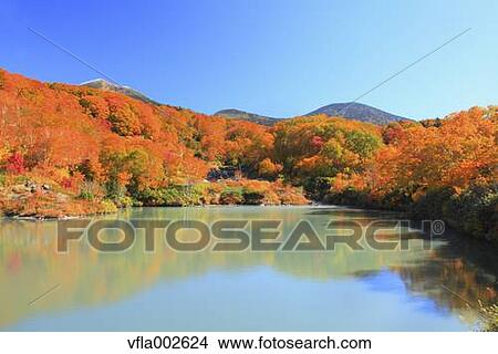Picture - Autumn leaves. Fotosearch