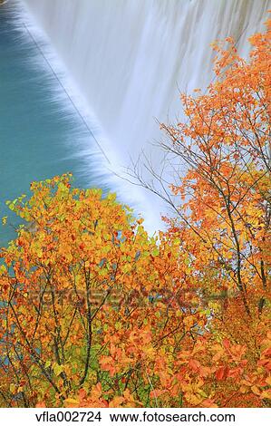 Autumn leaves View Large Photo Image Picture - Autumn leaves. Fotosearch
