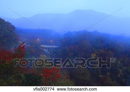 Picture - Autumn leaves. Fotosearch