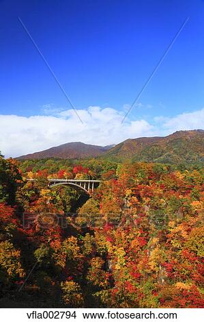 Autumn leaves View Large Photo Image Picture - Autumn leaves. Fotosearch