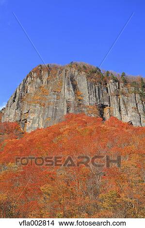 Picture - Autumn leaves. Fotosearch