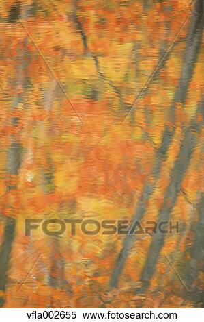 Autumn leaves reflected on water View Large Photo Image Stock Photography - Autumn leaves reflected on water. Fotosearch