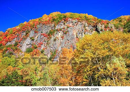 Autumn leaves View Large Photo Image Stock Image - Autumn leaves. Fotosearch