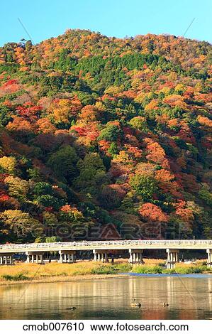 Autumn leaves View Large Photo Image Stock Image - Autumn leaves. Fotosearch