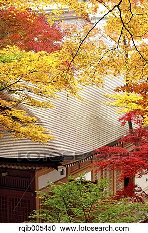 Stock Image - Autumn leaves. Fotosearch