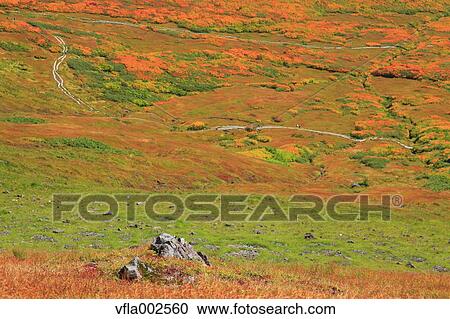 Autumn leaves View Large Photo Image Stock Image - Autumn leaves. Fotosearch