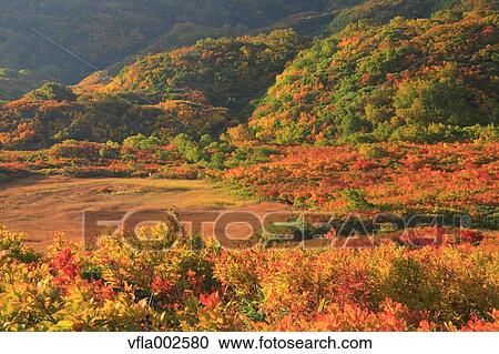 Autumn leaves View Large Photo Image Stock Image - Autumn leaves. Fotosearch