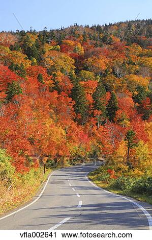 Autumn leaves View Large Photo Image Stock Image - Autumn leaves. Fotosearch