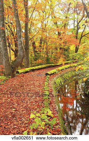 Autumn leaves View Large Photo Image Stock Image - Autumn leaves. Fotosearch
