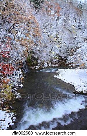 Autumn leaves View Large Photo Image Stock Image - Autumn leaves. Fotosearch
