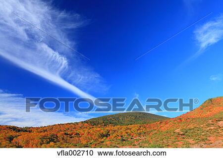 Stock Image - Autumn leaves. Fotosearch