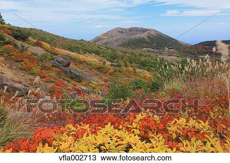 Autumn leaves View Large Photo Image Stock Image - Autumn leaves. Fotosearch