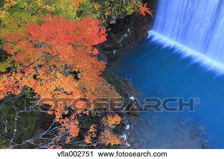 Autumn leaves View Large Photo Image Stock Image - Autumn leaves. Fotosearch