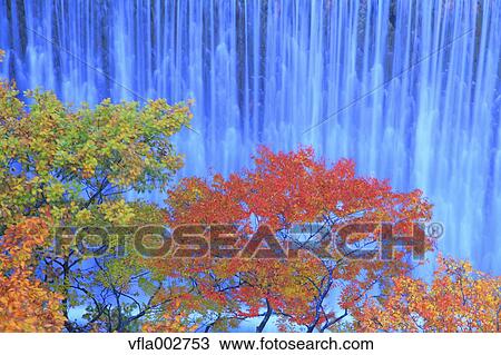 Stock Image - Autumn leaves. Fotosearch